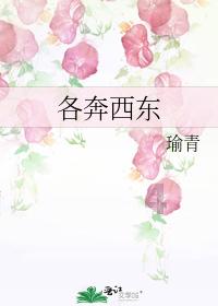 广发证券:市场情绪初步稳固,TMT和中小股票或迎反弹机会