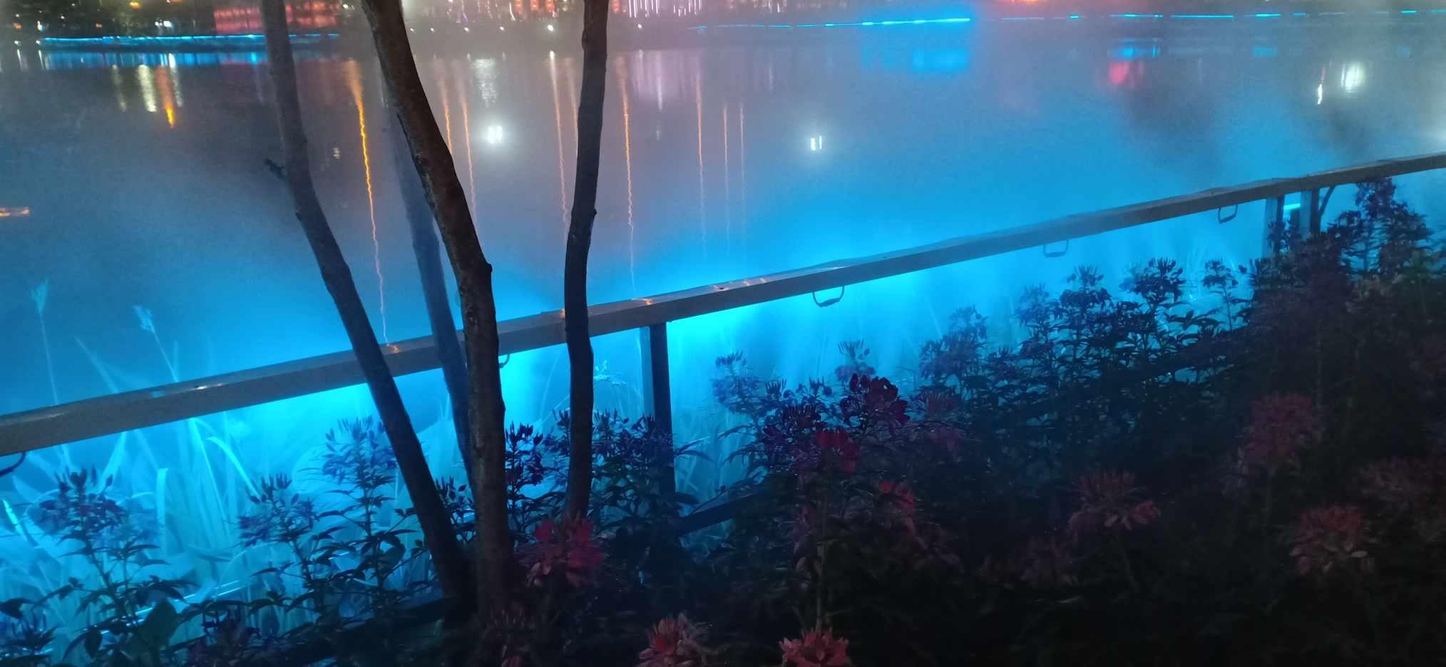 逃出昏暗的地下室